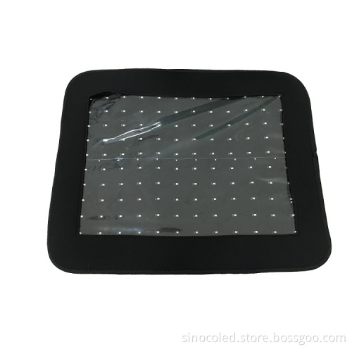 Hanoverian Horse Therapeutic Red LED Lamp
